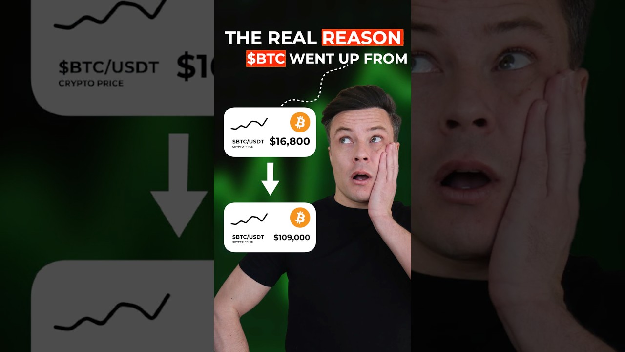 The Secret Reason Bitcoin Has Gone From $16,800 To $100,000 Plus #bitcoin #crypto #btc