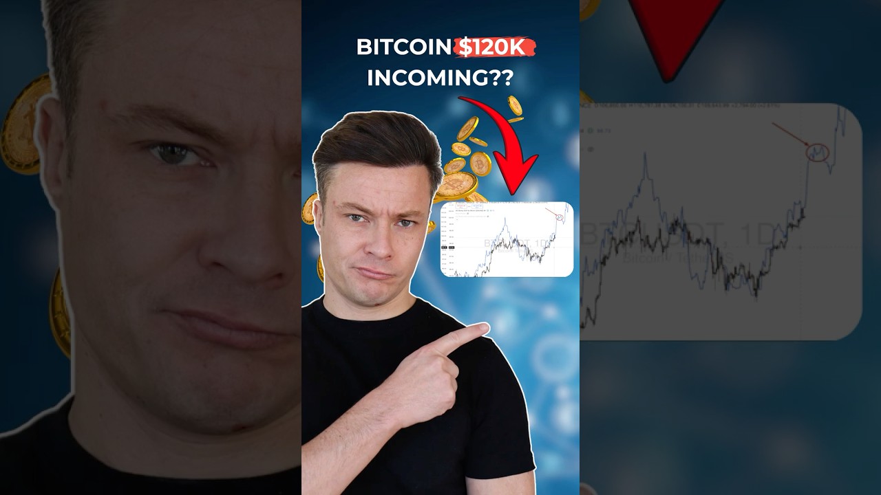 #Bitcoin Will Push Your #Crypto Portfolio #bitcointrading #bitcoinprice