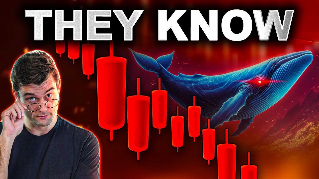 The Crypto Market Is RIGGED!? What You NEED To know!!